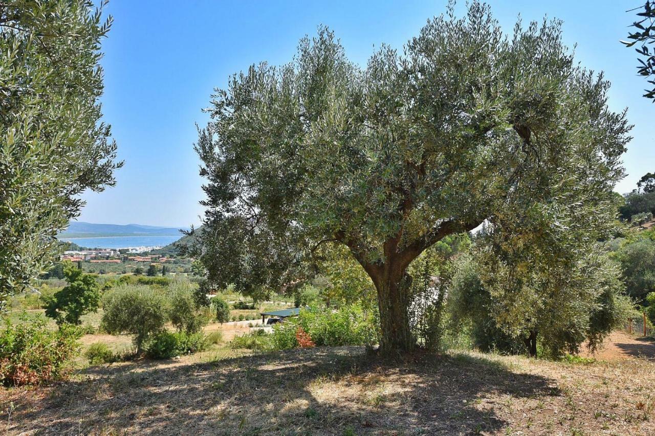 Il Molino Villa Porto Ercole  Exterior foto
